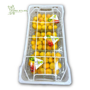 apricot-jo-eg-5kg-uae