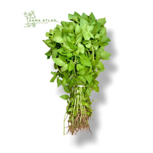 basil-reyhan-300g-uae