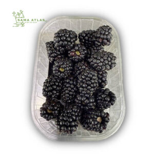 blackberry-mx-125g-uae