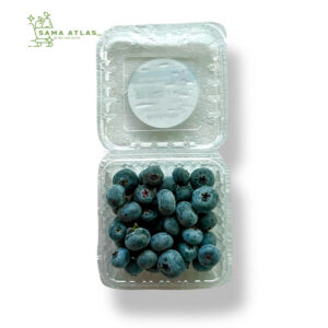 blueberry-zw-tz-125g-uae