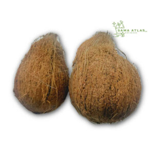 brown-dry-coconut-ind-1pc-uae