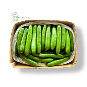 cucumber-ir-8kg-uae