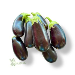 eggplant-greenhouse-ir-6.5kg-uae