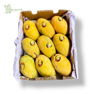 mango-pk-5kg-uae