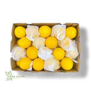 orange-valencia-14kg-uae