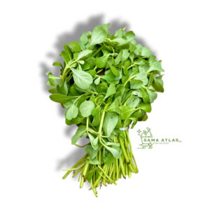 purslane-baklah-300g-uae