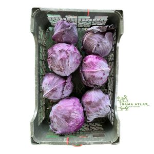 red-cabbage-ir-6.5kg-uae
