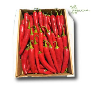 red-long-chili-eg-2kg-uae