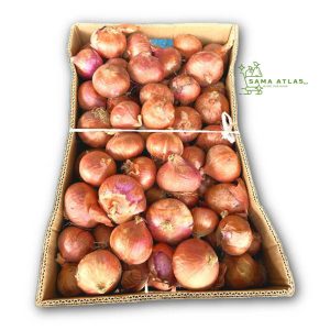 red-onion-ind-pk-20kg-uae