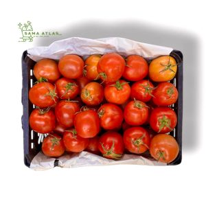 red-tomato-normal-ir-9kg-uae