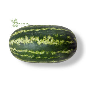 watermelon-ir-1pc-uae