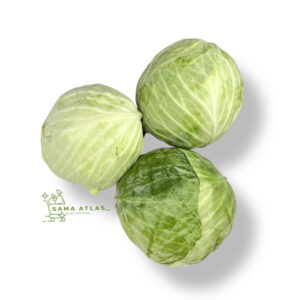 white-cabbage-ir-12kg-uae