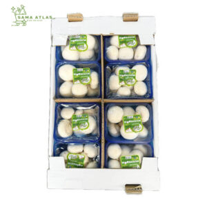 white-mushroom-ir-1pkt-uae
