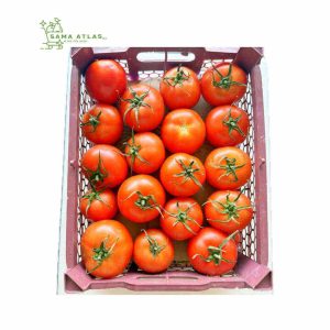 tomato-greenhouse-ir-5kg-uae