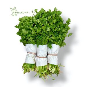 Parsley-300g-uae